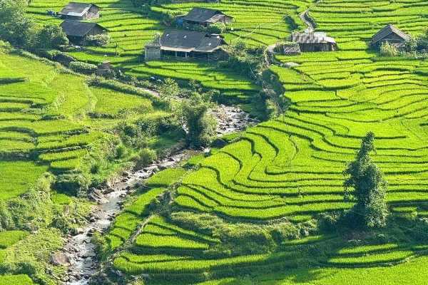7D6N Hanoi  Sapa Fansipan  Ninh Binh  Halong Bay Tour - photo 9
